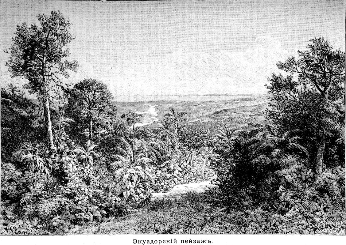 313 Экуадорский пейзаж